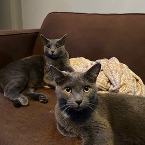 Meet your Posher, Andre